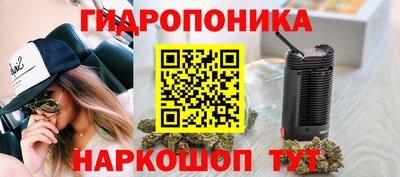 гашик Кулебаки